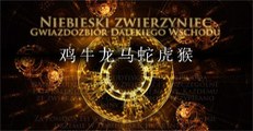 Niebieski zwierzyniec