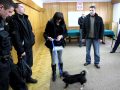 Po Lucy, którą uratowali policjanci, zgłosiła się właścicielka 