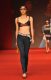 Anglomania & Lee od Vivienne Westwood