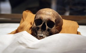 Czaszka ojca Tutanchamona, pokazana w muzeum w Kairze