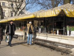 Wśród takich kwiatów mogą wybierać mieszkańcy Lublina