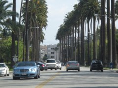 Beverly Hills