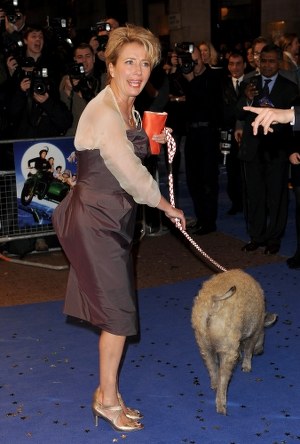 Emma na czerwonym dywanie pojawiła się… ze świnką na smyczy &nbsp; /Getty Images/Flash Press Media