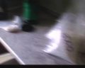 Policjanci odkryli 46 kg narkotyków