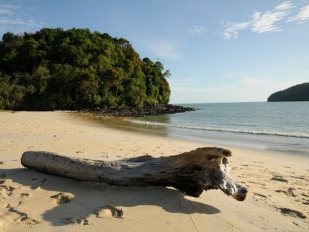 Piękne plaże i szmaragdowe morze to główny atut archipelagu Langkawi &nbsp; /&copy; Panthermedia