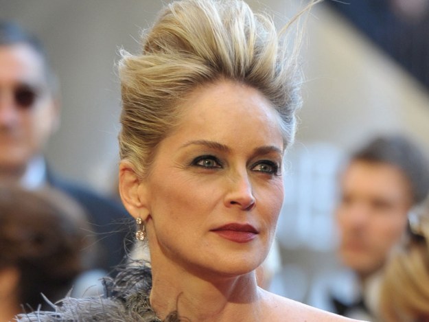 Sharon Stone &nbsp; /Getty Images/Flash Press Media