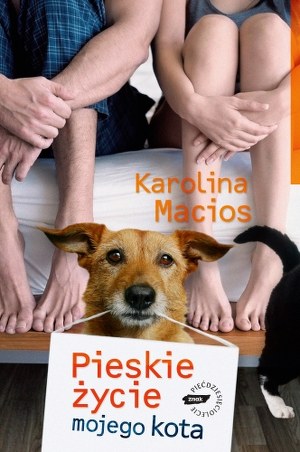 &nbsp; &nbsp; /materiały prasowe