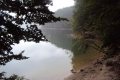 Solina