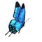 agamamma