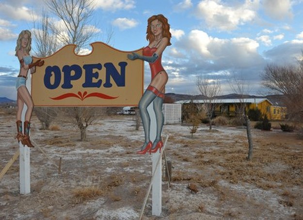 Shady Lady Ranch /AFP