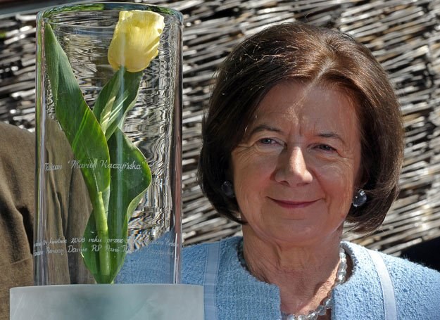 Tulipany odmiany "Maria Kaczyńska" są żółto-kremowe /AFP