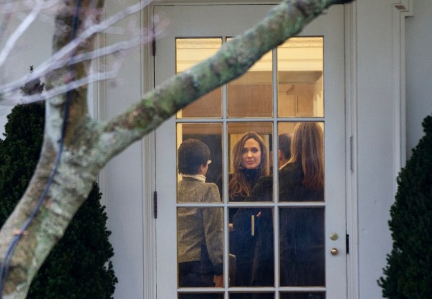 Angelina Jolie /Brendan Smialowski /Getty Images/Flash Press Media