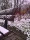 Ławka czekająca na wiosnę