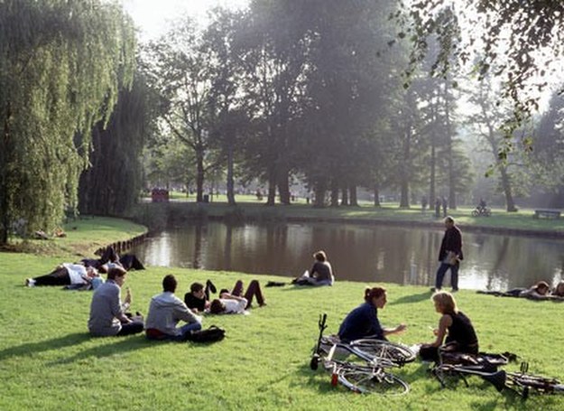 Vondelpark latem /AFP