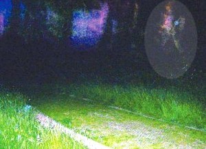 Zjawa brytyjskiego żołnierza sprzed trzech i pół wieku /MWMedia