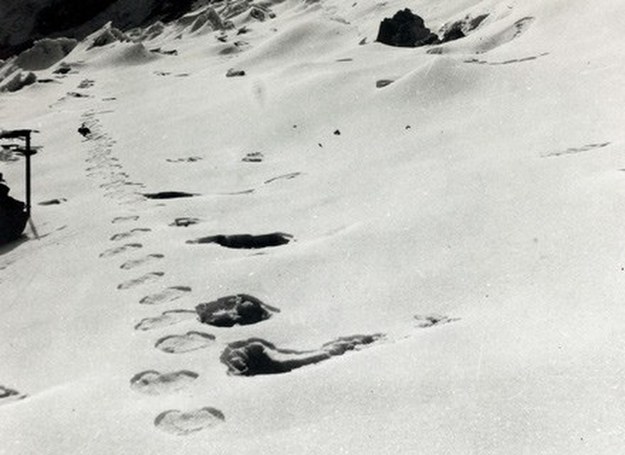 Zdjęcie śladów himalajskiego yeti. Syberyjskiego ciężko jest wytropić... /Getty Images/Flash Press Media