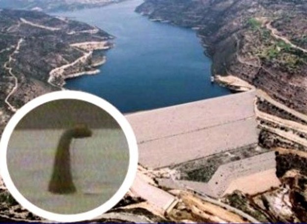 Na zdj. potwór z jeziora Kouris Dam na Cyprze, kuzyn potwora z Loch Ness /MWMedia