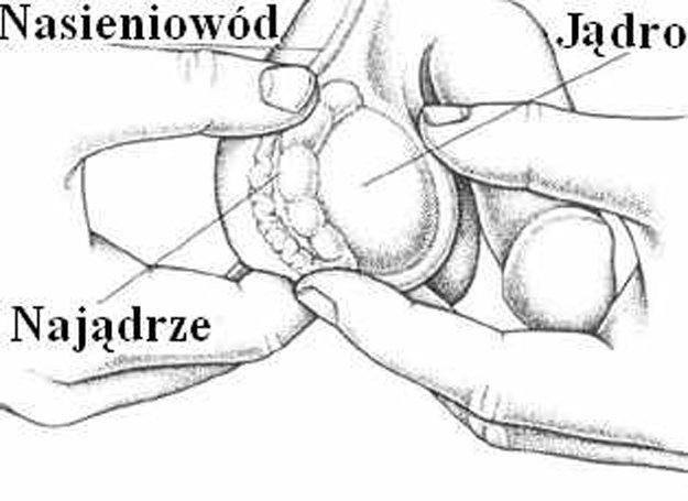  /Intimate Medicine