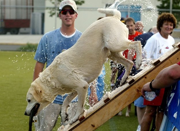  /Dogandsport