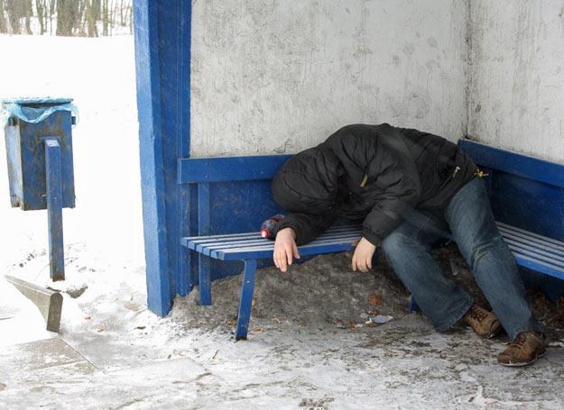 Mimo silnych mrozów, taki widok wcale nie należy do rzadkości, fot. Piotr Mecik /East News