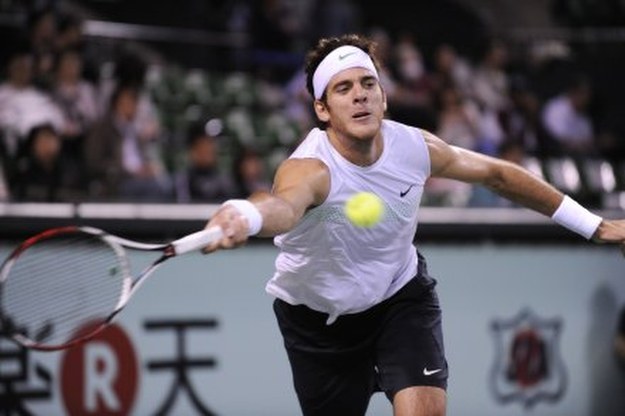 Juan Martin del Potro /AFP
