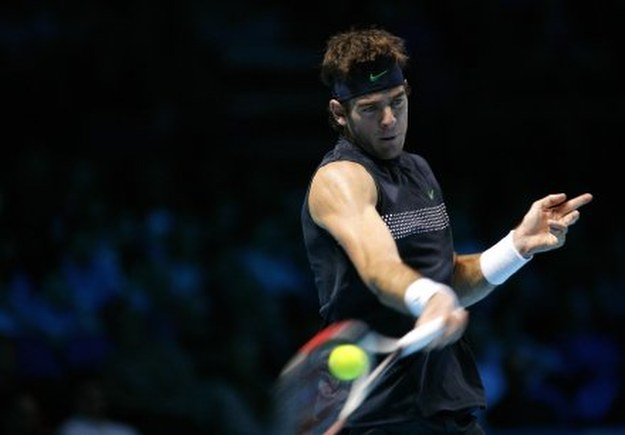 Juan Martin Del Potro /AFP