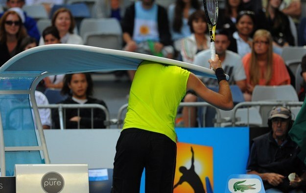 Juan Martin Del Potro /AFP