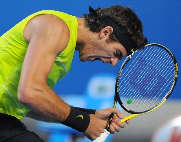 Juan Martin del Potro /AFP