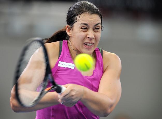 Marion Bartoli dobrze spisuje się w turnieju w Brisbane /AFP