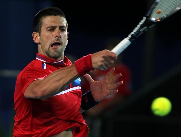 Novak Djoković zdobył jedyny punkt dla Serbii w meczu z Belgią /AFP