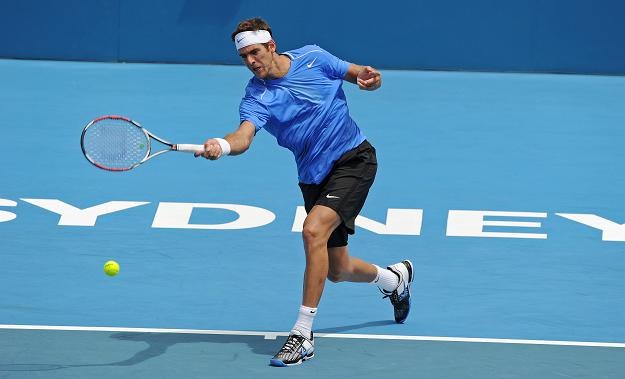 Juan Martin del Potro /AFP