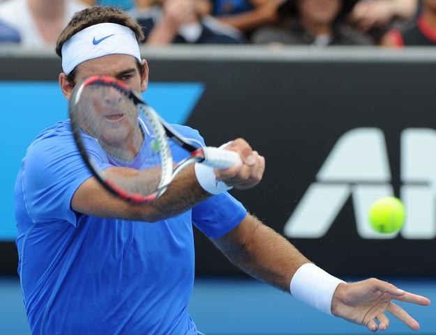 Juan Martin del Potro /AFP