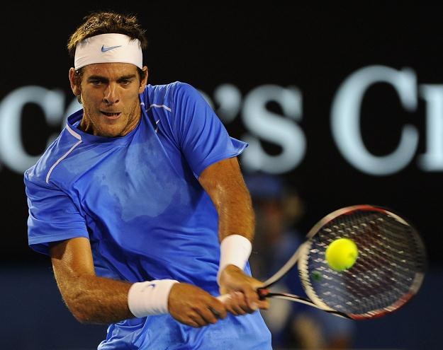 Juan Martin del Potro /AFP