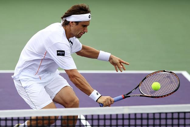 David Ferrer /AFP