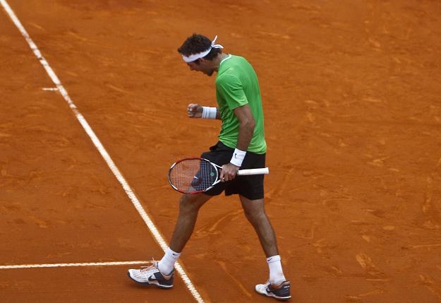 Juan Martin del Potro /AFP