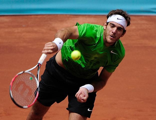 Juan Martin del Potro /AFP