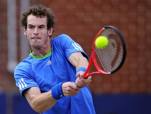 Andy Murray, wielki faworyt brytyjskich fanów tenisa /AFP