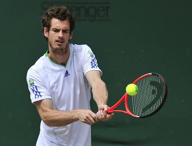 Andy Murray. Czy powstrzyma znakomitego Rafaela Nadala? /AFP