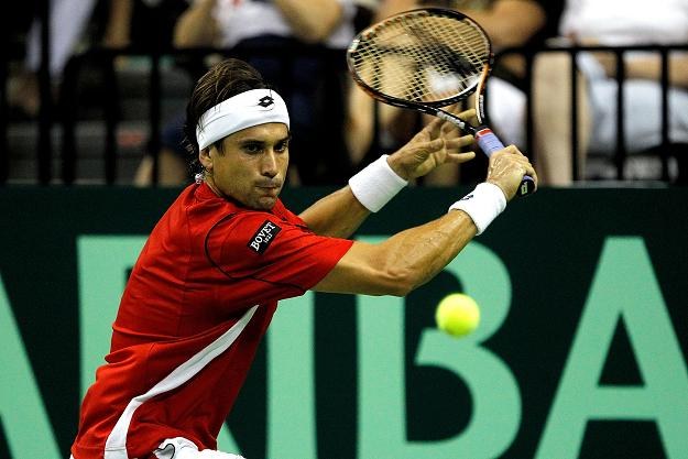 David Ferrer /AFP