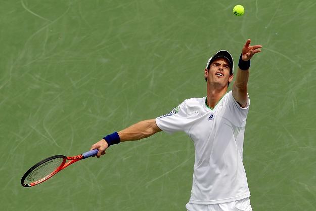 Anglik Andy Murray /AFP
