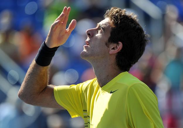 Juan Martin Del Potro /AFP