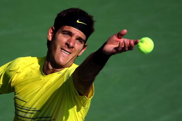 Juan Martin del Potro /AFP
