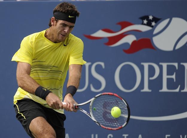 Juan Martin del Potro /AFP