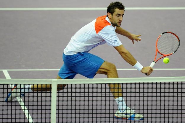 Marin Cilic (na zdjęciu) pokonał w finale Janko Tipsarevica /AFP