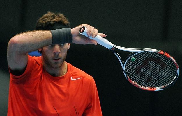 Juan Martin Del Potro /AFP