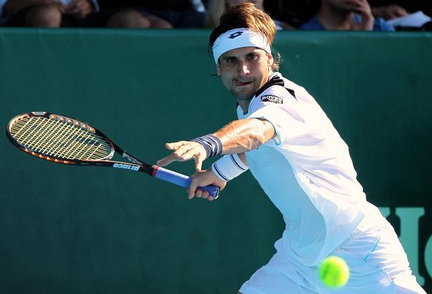David Ferrer /AFP