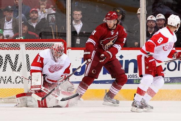 Martin Hanzal (czerwony strój) z Phoenix Coyotes/fot. Christian Petersen /Getty Images/Flash Press Media
