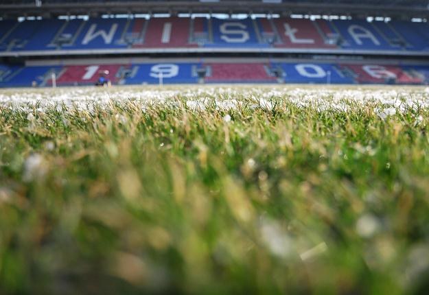 Murawa na stadionie Wisły jest w dobrym stanie Fot. Daniel Gołda /www.wisla.krakow.pl