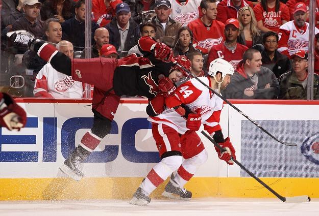 Todd Bertuzzi, hokeista Detroit Red Wings (z prawej) /AFP