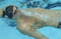 Amerykański pływak Michael Phelps zdobył swój pierwszy złoty medal na IO w Pekinie. Phelps wygrał wyścig na 400 m stylem zmiennym, ustanawiając rekord świata wynikiem - 4.03,84.